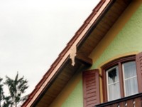 Nut- und Federbretter